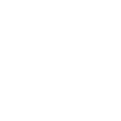 White Petal Background