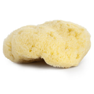 EPONGE DE MER 9-10 CM VRAC SANS EMBALLAGE (SEA SPONGE)